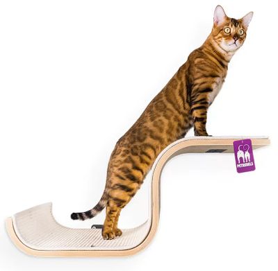 Katthylla Scratch Oak