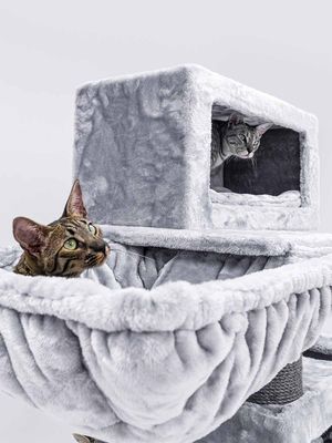 PetRebels hängmatta square XL Royal Grey