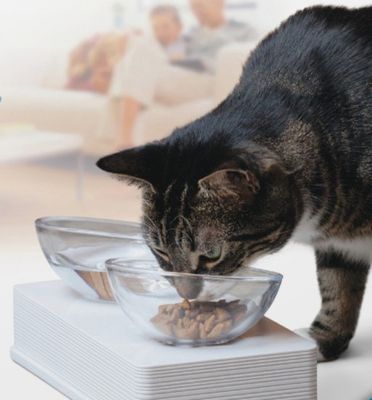 CatIt Glass Diner vit