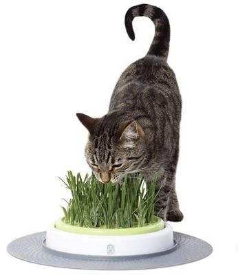 CatIt Senses Grass Garden