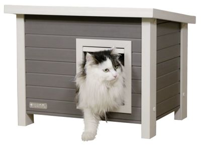 ECO Katthus Eli