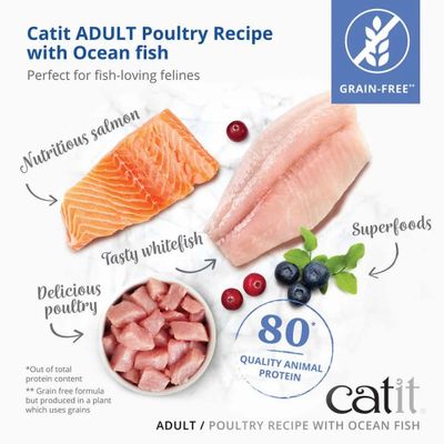 CatIt Adult Fish 2 kg