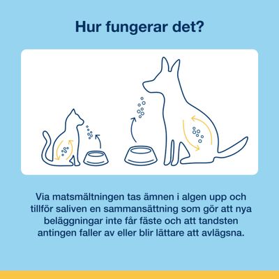 ProDen PlaqueOff® Soft Chews - Katt