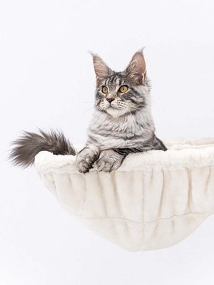 PetRebels hängmatta square XL Royal Cream