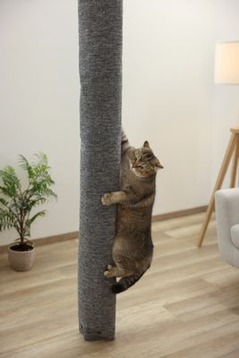 Cat scratching climber Carpet