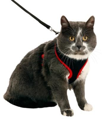 Original Harness Svart med röd söm Medium