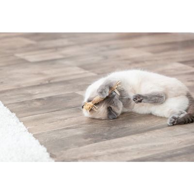 Kattleksak Matatabi med fransar, miljöbild med katt