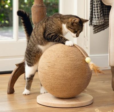 Scratch globe BALTY - Designed by Lotte