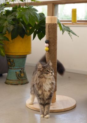 Klösstolpe SINORA - Designed By Lotte