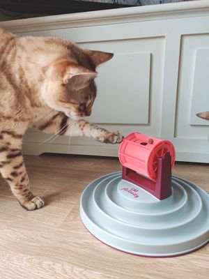 Cat Activity Roller Bowl