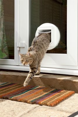 Kattlucka Sureflap microchip vit