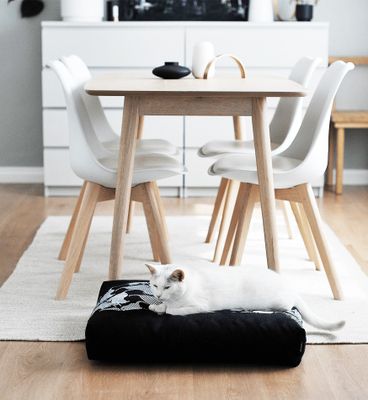 PADI modern catbed svart
