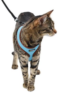 Active Harness blå, med koppel