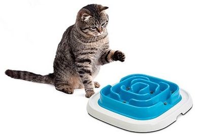 Pet Enigma aktiveringsbräda mörkblå