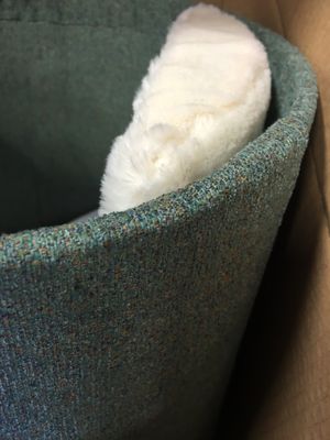 Klösträd Scandi, 77 cm