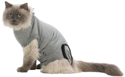 Body till katt, skyddande