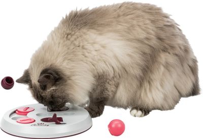 Cat Activity Flip Board