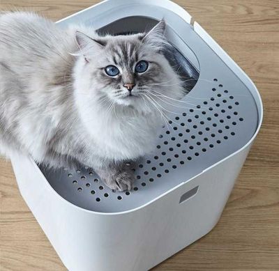 Modkat kattlåda grå