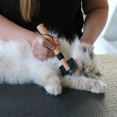 Karda Arthur med böjda piggar