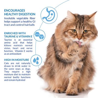 Churu Hairball Control Kyckling