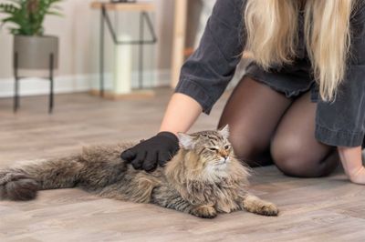 Pälsvårdshandske för katt- & hundpäls
