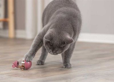 Cat Activity Snack Mice Grön
