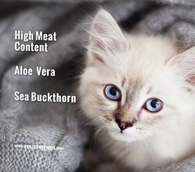 FourFriends Kitten Grainfree 2 kg