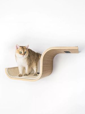 Katthylla Scratch Oak