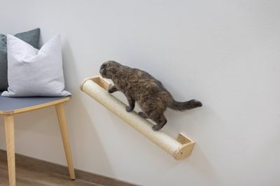 Väggklösbräda 77 cm