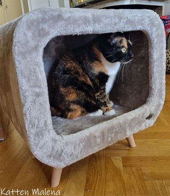 Kattmöbel Alicia bokträben