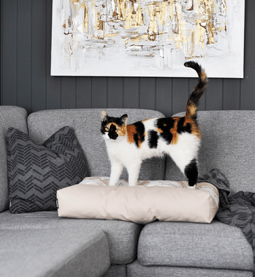 PADI modern catbed beige