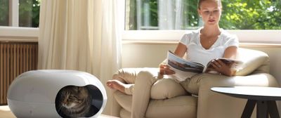 Doonut kattbädd