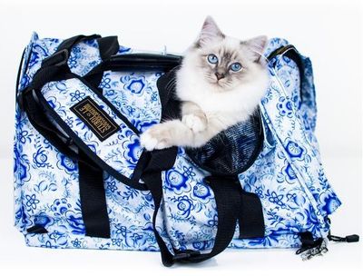 Sturdibag Large limited edition pro 2.0