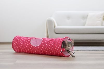 Prasseltunnel Puntino rosa 100 cm
