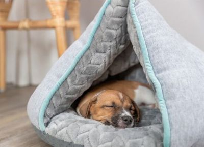 Kattigloo tipi grå-turkos