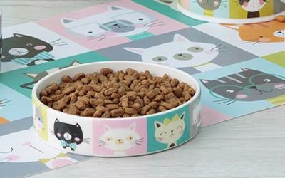 Pawtrait kattmatskål med låg kant