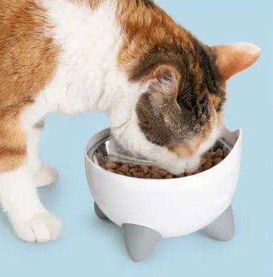 CatIt Pixi hög kattmatskål, 2 insatser
