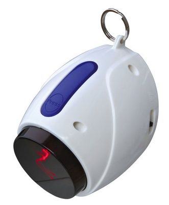 Cat activity Moving light