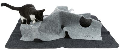 Cat Activity Adventure Carpet