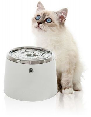 CatIt vattenfontän 2l rostfri