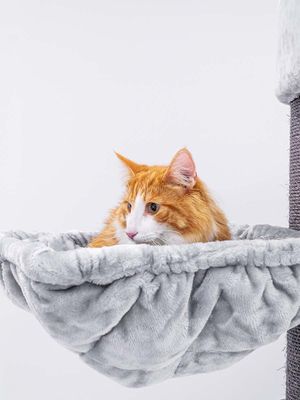 PetRebels hängmatta square XL Royal Grey