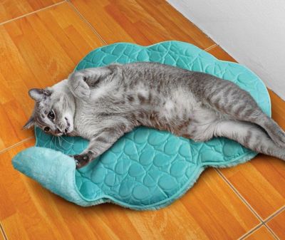 Kattdyna Kong Cat Cloud Spaces