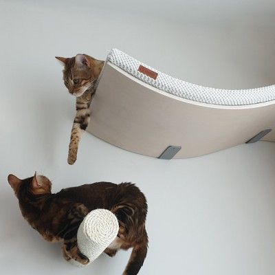 Cosy and Dozy Climbing Step 28 cm