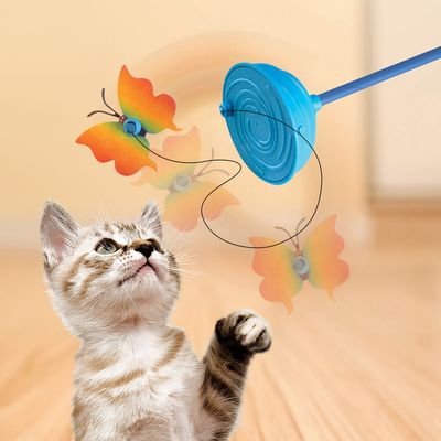 Kong Cat  Butterfly Purrsuit Teaser