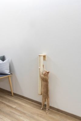 Väggklösbräda 77 cm