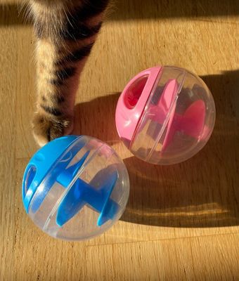 Aktivitetskula CatIt Blå