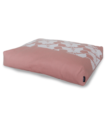 PADI modern catbed rose