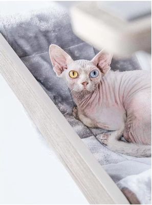 Katthylla hängmatta Lazy Grey