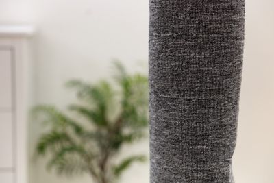 Cat scratching climber Carpet