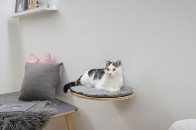 Vägghängd sovhylla grått tyg